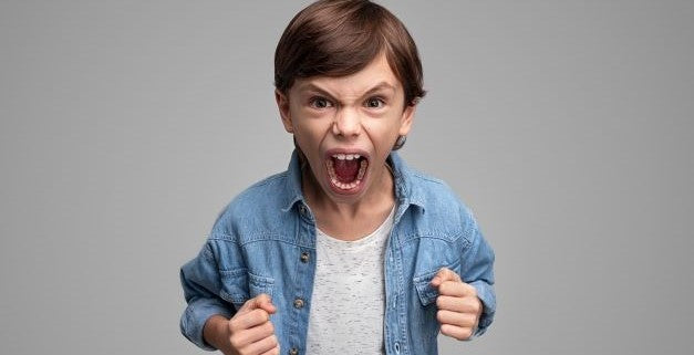 Aggressive Behavior in Children