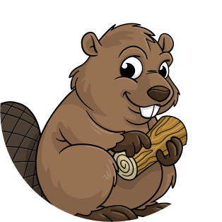 beaver