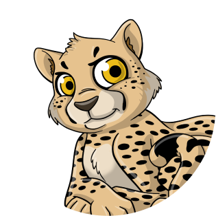 cheetah